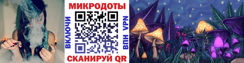 наркотики  MEGA ссылки  Псилоцибиновые грибы Psilocybe  Якутск 